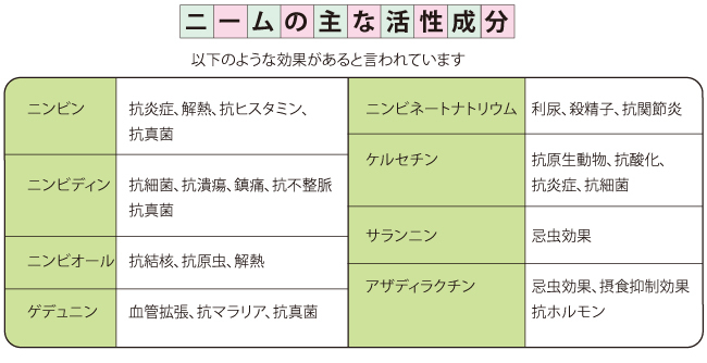 ニーム茶 いととはり ニーム茶 いととはり
