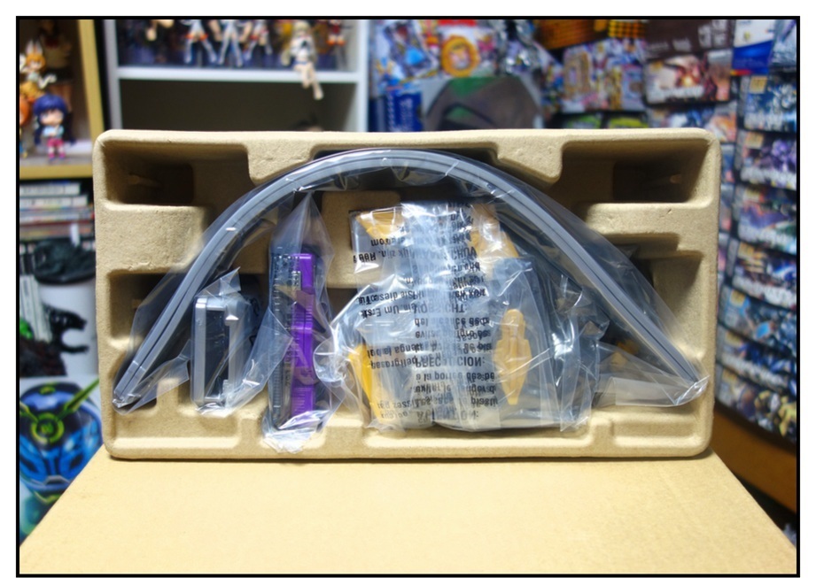 DX滅亡迅雷フォースライザー/RKF仮面ライダー滅/RKF仮面ライダー迅で徹底的に遊ぶ!!_f0205396_19122068.jpg