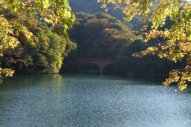 湖畔を彩る _a0357206_21353358.jpg