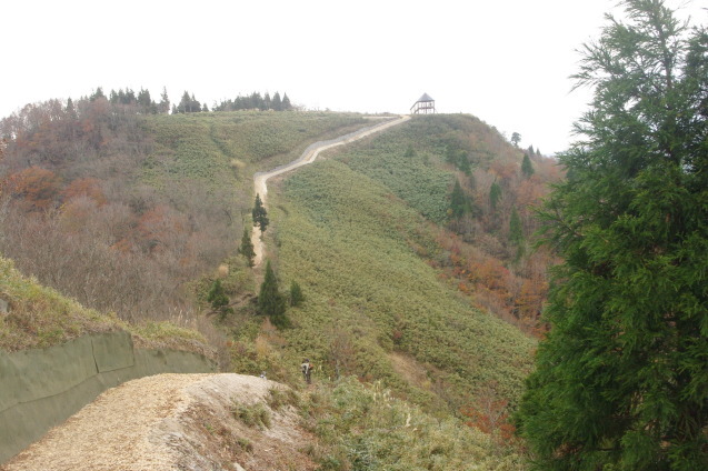 d0341514_12020724.jpg