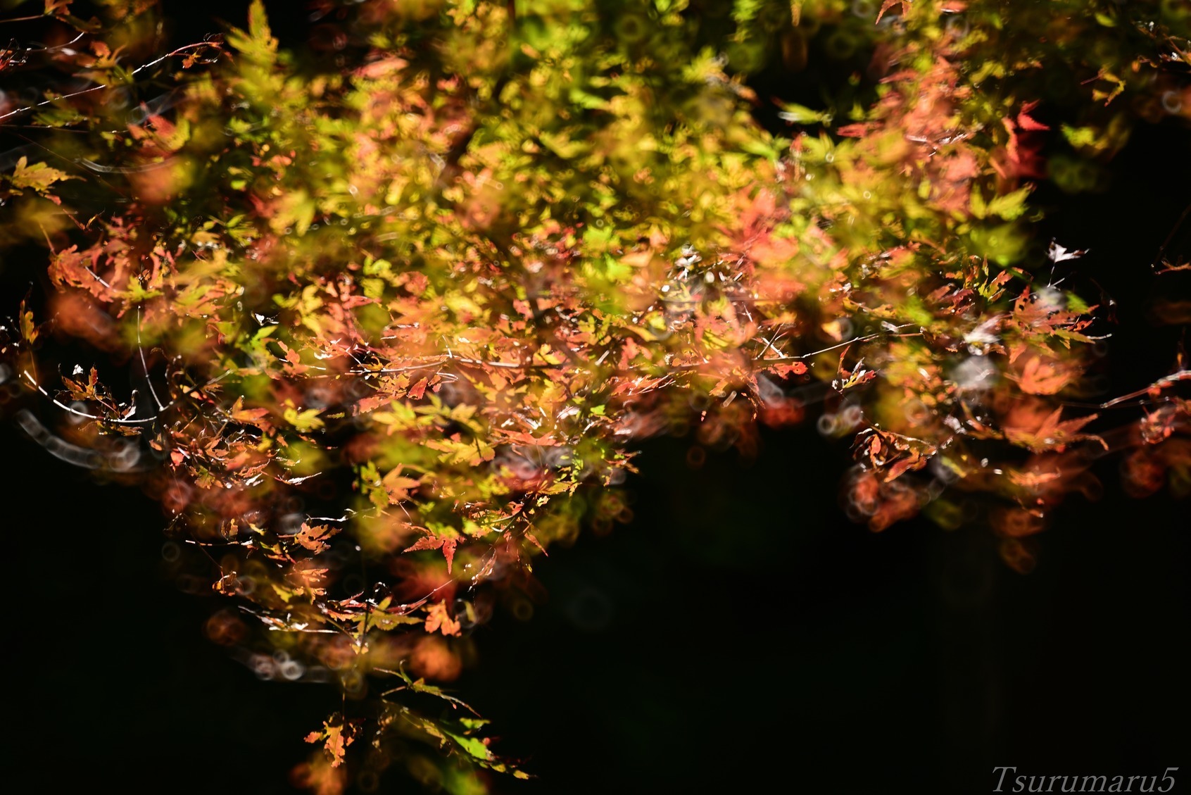 e0358534_16405322.jpg