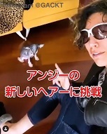 Gackt アンジーの新しいヘアーに挑戦 風恋華diary