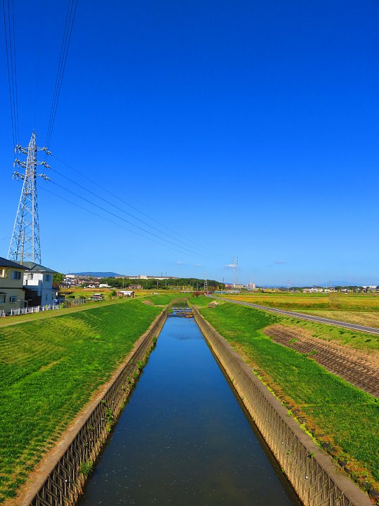 2019年11月17日　緑色に染まった河川敷　 !(^^)!_b0341140_18373085.jpg