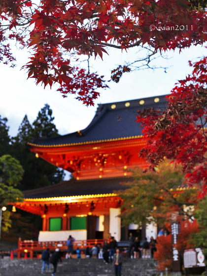ライトアップ日光2019 ~鮮やかな紅葉とライブ~_e0227942_11575269.jpg