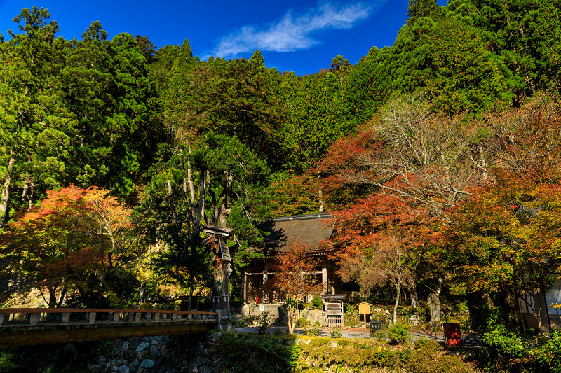 Opening!紅葉が彩る京都2019　峰定寺の彩り_f0155048_19485462.jpg