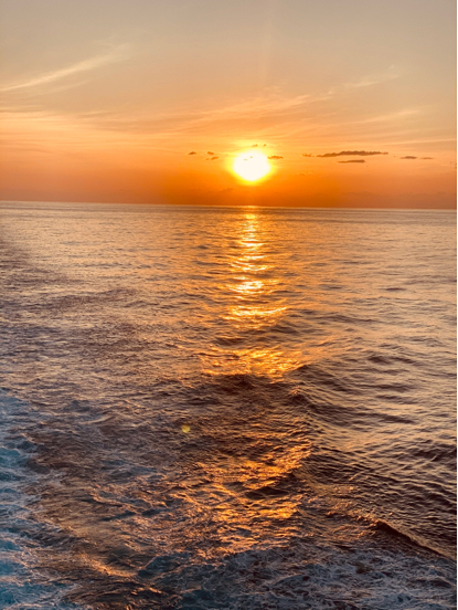 ダイヤモンドプリンセス沖縄台湾クルーズ 番外編 携帯電話事情_f0054556_23514331.jpg