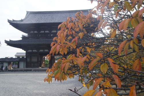 e0181373_22281599.jpg