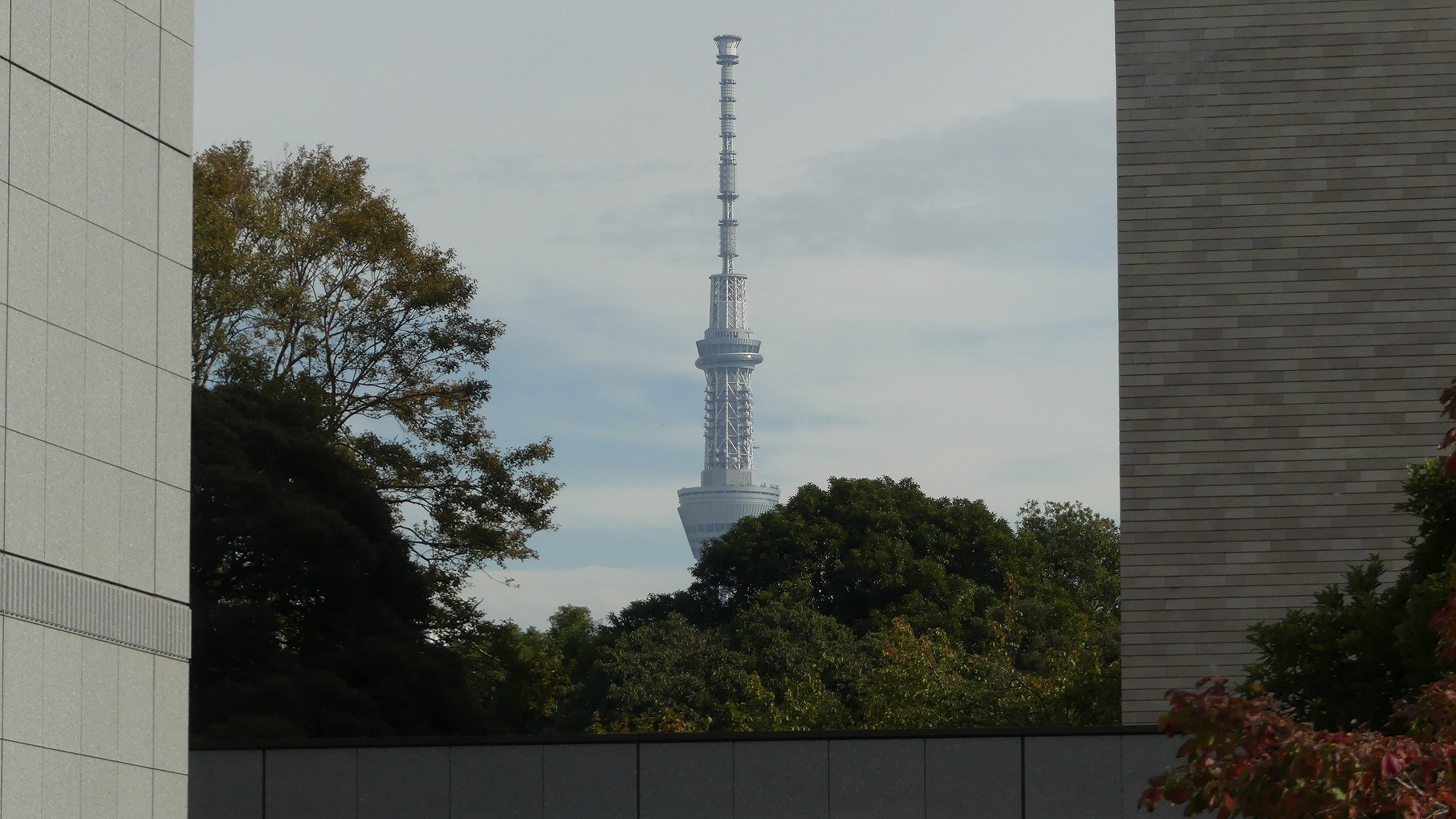 10万人に達しました 【 2019 11/7(木) 】_a0185081_09482720.jpg