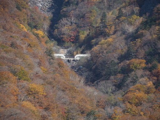 秋の一人旅　その18　中禅寺湖遊覧船　菖蒲ヶ浜～大使館別荘記念公園_f0197985_14590174.jpg