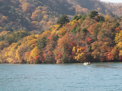 秋の一人旅　その18　中禅寺湖遊覧船　菖蒲ヶ浜～大使館別荘記念公園_f0197985_15104034.jpg