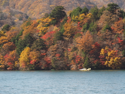 秋の一人旅　その18　中禅寺湖遊覧船　菖蒲ヶ浜～大使館別荘記念公園_f0197985_15125548.jpg