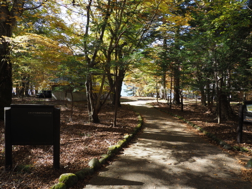 秋の一人旅　その23　イタリア大使館別荘記念公園⑤_f0197985_17460495.jpg