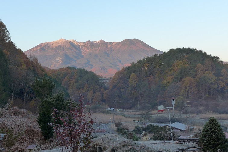 １１月１０日「朝刊」」小豆島から。。_a0130586_09022645.jpg