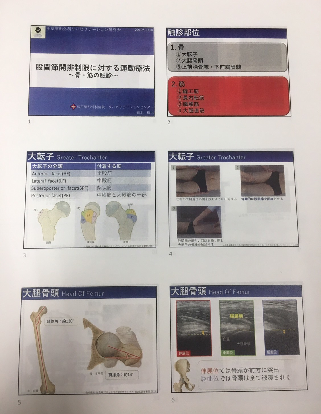 人間の体は食べ物で作られる_c0357589_20311566.jpg