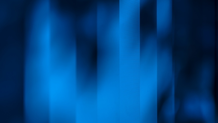 Transition - 変遷_d0353489_10065520.jpg
