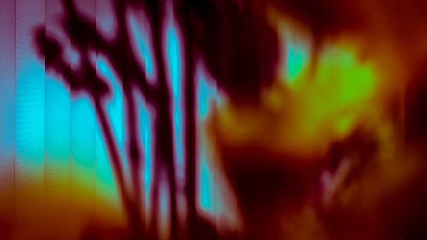 Transition - 変遷_d0353489_10070236.jpg