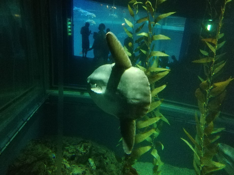秋の外出、いっぱいの写真_f0376200_02491824.jpg