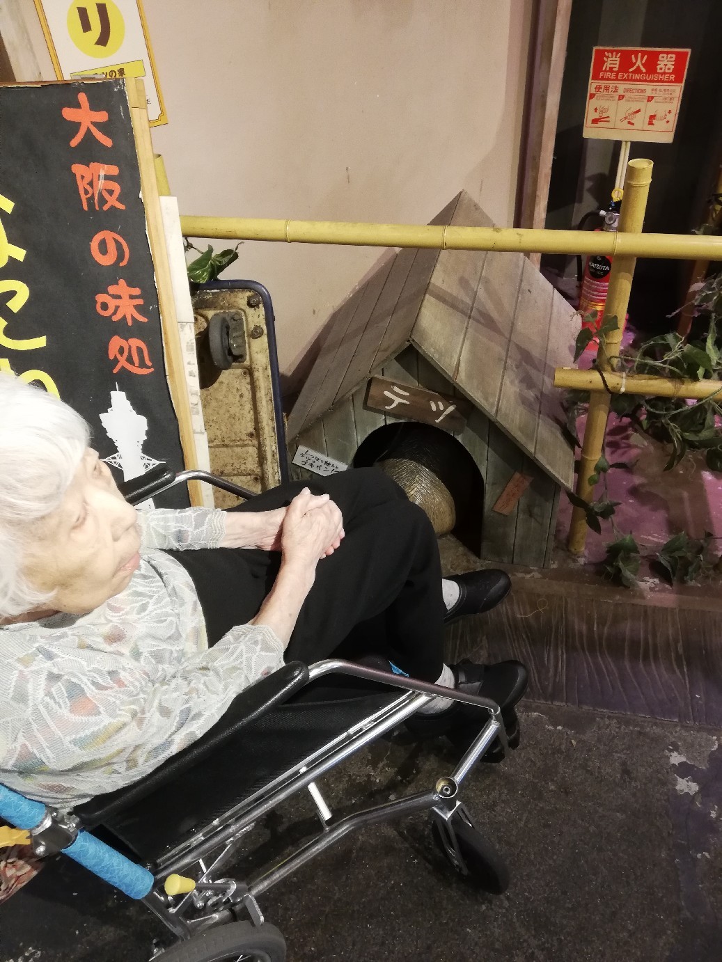 秋の外出、いっぱいの写真_f0376200_02570074.jpg