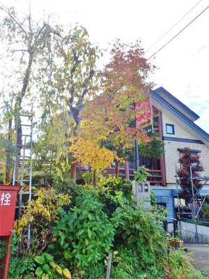 兼業農家の冬準備は庭木の剪定から・・・②_c0336902_20022108.jpg