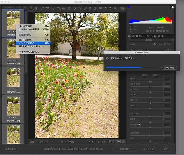 Adobe Camera Raw 12 リリース 新機能 パノラマに結合 の処理に