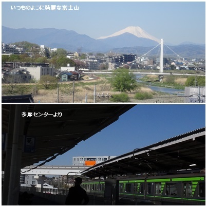 町田市 三輪の古寺と里山をウォーキング_c0051105_11040317.jpg