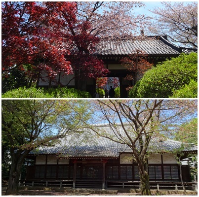 町田市 三輪の古寺と里山をウォーキング_c0051105_14135905.jpg