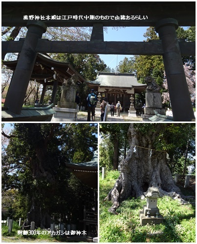 町田市 三輪の古寺と里山をウォーキング_c0051105_14581993.jpg