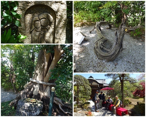 町田市 三輪の古寺と里山をウォーキング_c0051105_16522110.jpg