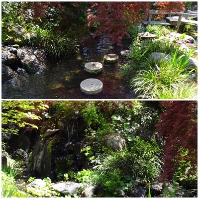 町田市 三輪の古寺と里山をウォーキング_c0051105_16562688.jpg