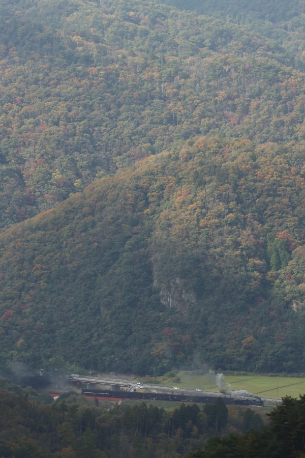 紅葉の長門峡…日差しと煙が残念 - 2019年晩秋・山口線 -_b0190710_18240460.jpg
