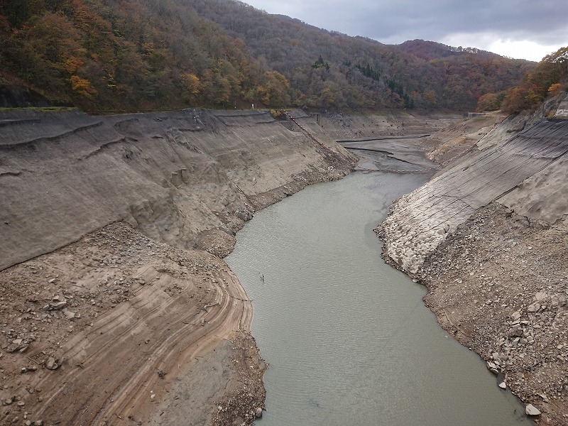 f0100911_21363760.jpg