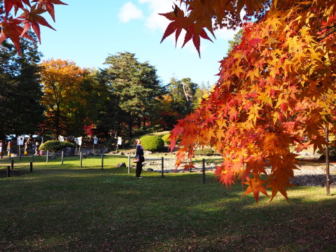弘前城菊と紅葉まつり*2019.11.10_b0147224_23144950.jpg