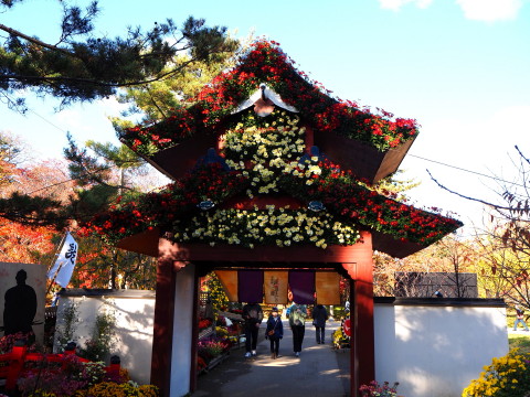 弘前城菊と紅葉まつり*2019.11.10_b0147224_23163755.jpg