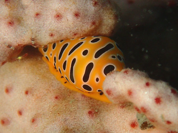 d0164831_08460934.jpg