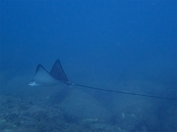 d0164831_08462748.jpg