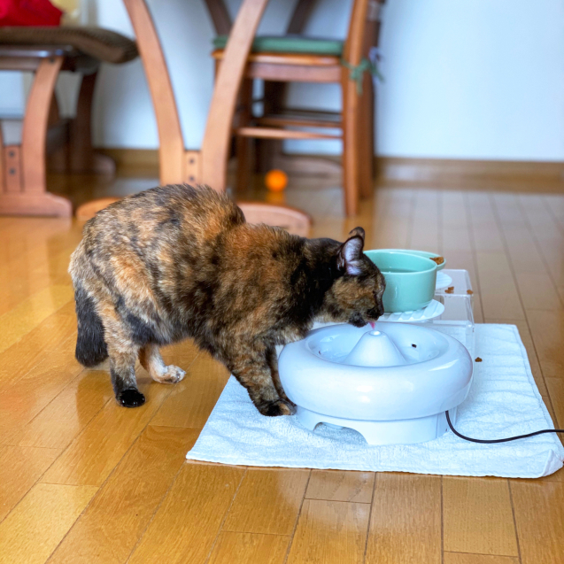 ただいまーーーー !!!!!!!!_d0355333_15435450.jpg