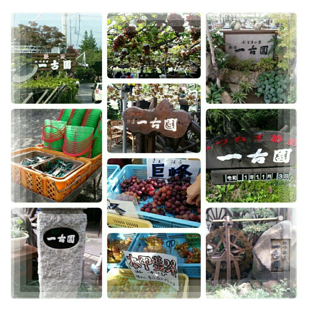 2019年秋・こんな旅してみたかったミステリー二日間♪【その1】_d0219834_06042413.jpg
