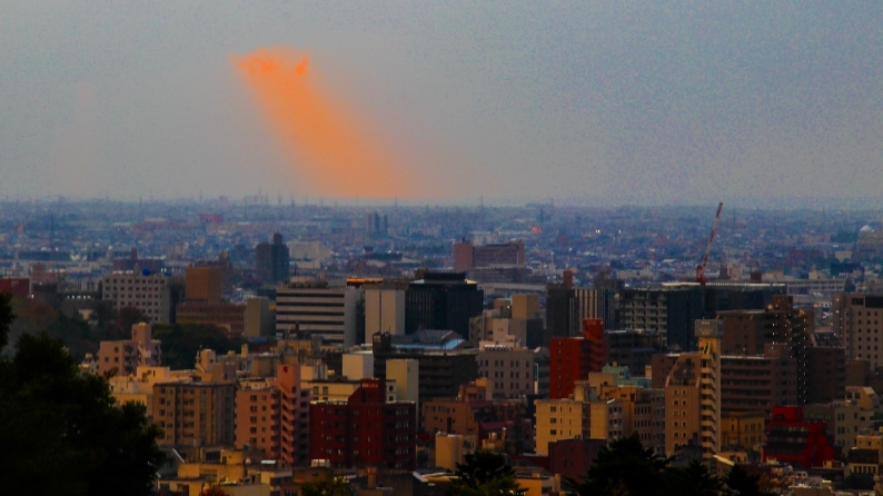 d0060435_19292585.jpg