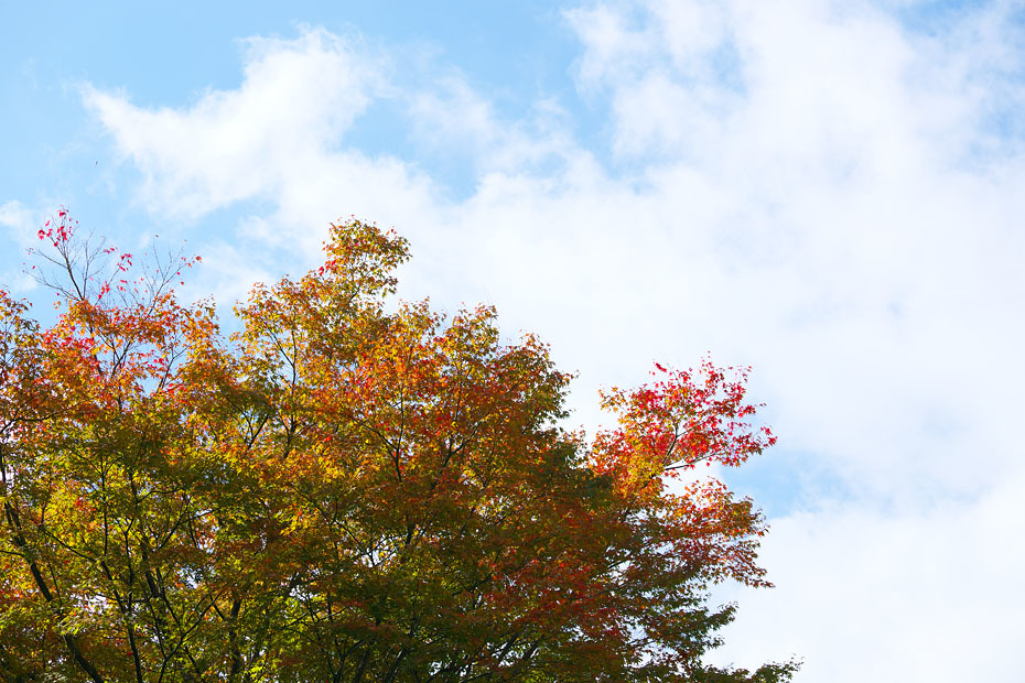 紅葉始まる_c0067040_22421307.jpg