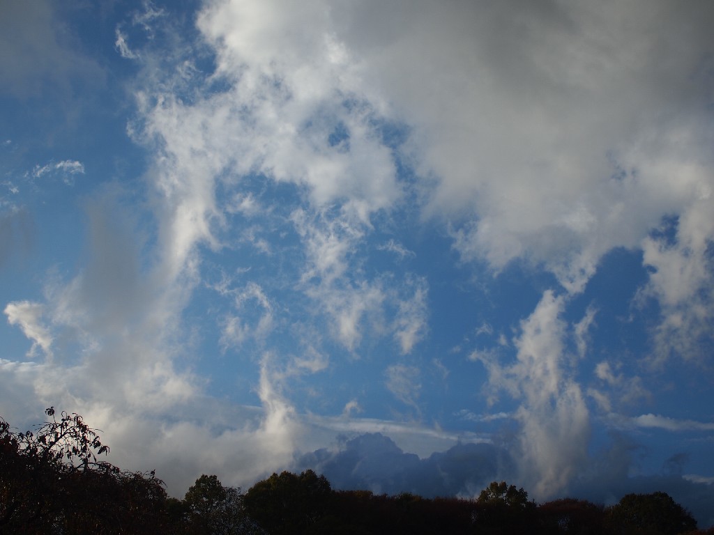 b0319255_22152852.jpg