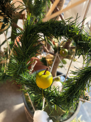 枯れたオリーブの木をリメイク クリスマス おやつのお花 きれい 可愛い いとおしいをデザインしましょう 枯れたオリーブの木をリメイク クリスマス おやつのお花 きれい 可愛い いとおしいをデザインしましょう
