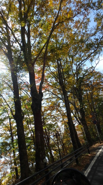 2019\'11\'09...焚火会 in 道志の森_d0130980_19574327.jpg