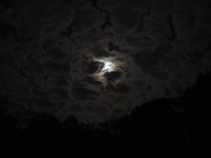 2019\'11\'09...焚火会 in 道志の森_d0130980_20440684.jpg