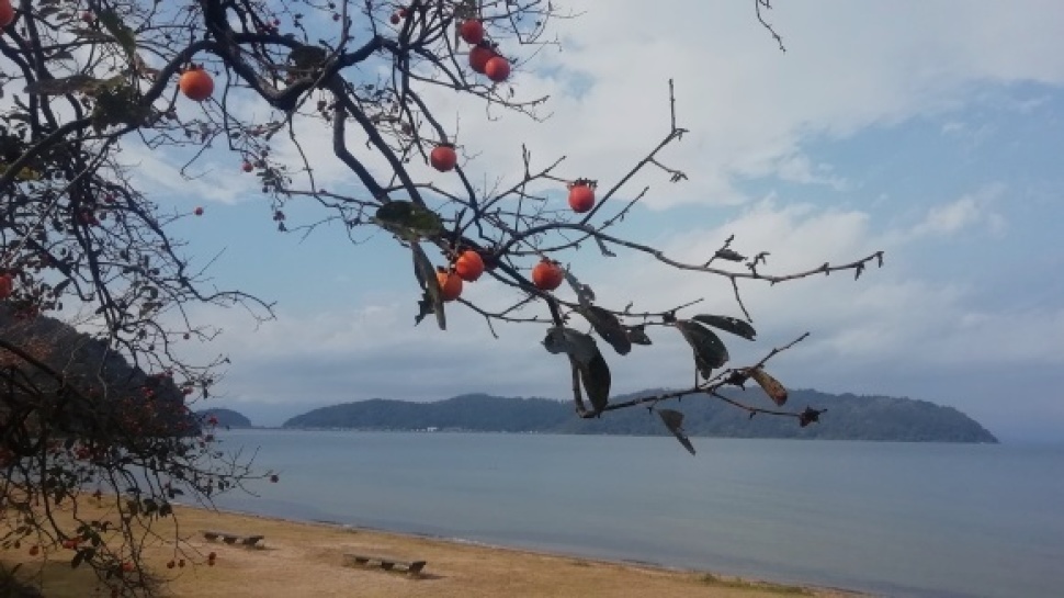 岐阜県美濃～滋賀県草津　5日目_c0212083_18434474.jpg