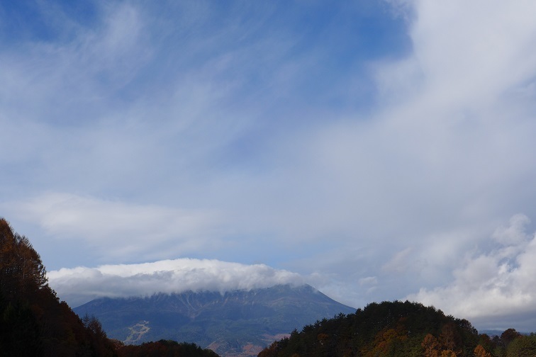 １１月１１日「朝刊」霜が降りていない朝。。_a0130586_08422995.jpg