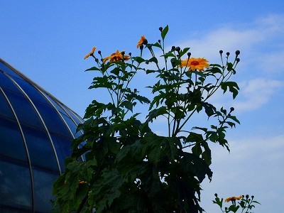 f0203094_09344025.jpg