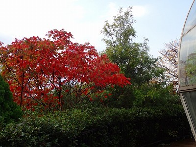 f0203094_09531142.jpg