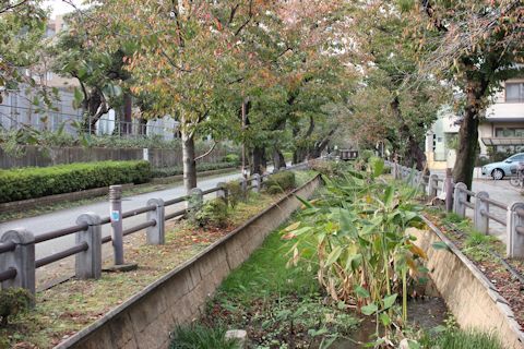 今度は私が病院へ&今日のお散歩♪_c0090198_17303404.jpg