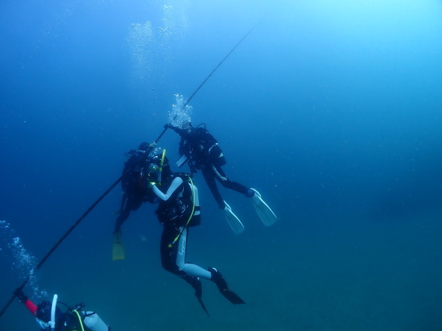 e0115199_18445314.jpg