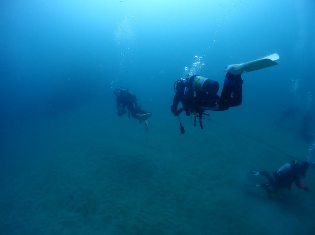 e0115199_18452667.jpg